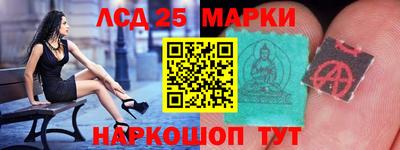 индика Будённовск