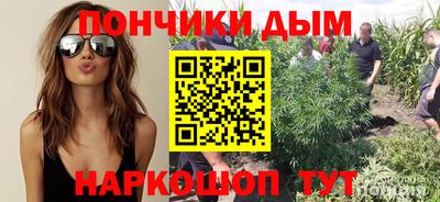 индика Будённовск