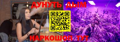 индика Будённовск