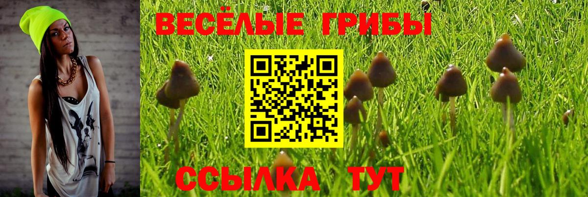 Метамфетамин Новокубанск