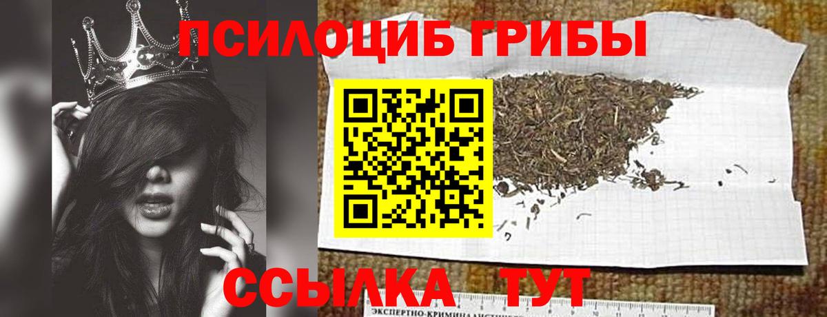 Новокубанск  Псилоцибиновые грибы мицелий  Вход с VPN  Псилоцибиновые грибы Magic Shrooms 